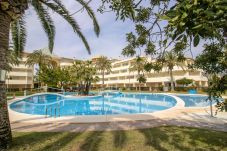 Appartement in Alcocebre / Alcossebre - Las Terrazas 206 Apartamento PLAYA CARGADOR