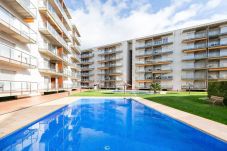 Appartement in Rosas / Roses - MARINES MESTRAL  2 5 Roses