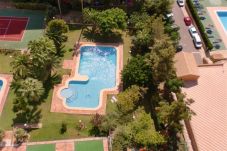 Appartement in Benidorm - GEMELOS 12 2D1