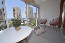 Appartement in Benidorm - PRINCIP. MEDITERRANEO 6D