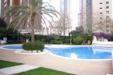 Appartement in Benidorm - PARQUE EUROPA 13D2