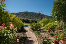 Villa in Pollensa /  Pollença - Hort Den Gelos