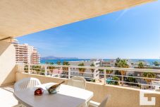 Appartement in Calpe - APOLO 16-1-4-17