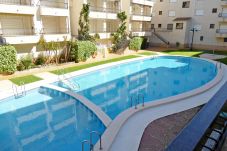 Appartement in Alcocebre / Alcossebre - PRIMERA LÍNEA PLAYA CARGADOR - Playamar 1021