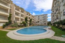 Appartement in Alcocebre / Alcossebre - PRIMERA LÍNEA PLAYA CARGADOR - Playamar 1122