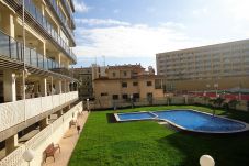 Appartement in Peñiscola - P. Maritimo 50 Lateral LEK