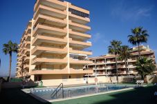 Appartement in Peñiscola - Apartamentos Alboran 4/6 LEK