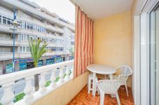 Appartement in Torrevieja - ID343