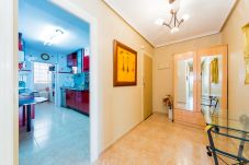 Appartement in Torrevieja - ID114