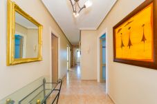 Appartement in Torrevieja - ID114