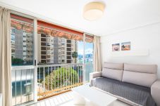 Appartement in Benidorm - Carabelas III 1-3 Apartment Levante Beach