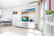 Appartement in Benidorm - Carabelas III 1-3 Apartment Levante Beach