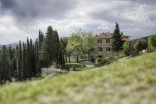 Appartement in Panzano - Luxury Chianti in Olive in Panzano Chianti