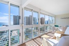 Appartement in Benidorm - Niza 11-A Apartment Levante Beach