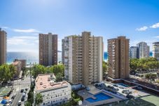 Appartement in Benidorm - Niza 11-A Apartment Levante Beach