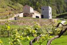 Cottage in Melgaço - Melgaço Alvarinho Houses - Casa Clérigo