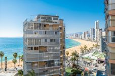 Appartement in Benidorm - Carabelas II 6-2 Apartment Levante Beach