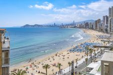 Appartement in Benidorm - Carabelas I 10-6 Apartment Levante Beach