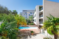 Appartement in Cannes - HSUD0118-Terracotta118