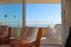 Appartement in Alcocebre / Alcossebre - Apartamento frontal al mar CALA MONTERO ALCOSSEBRE