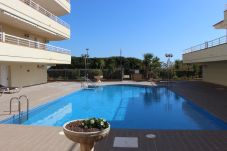 Appartement in Alcocebre / Alcossebre - Apartamento frontal al mar CALA MONTERO ALCOSSEBRE