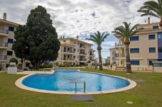 Appartement in Alcocebre / Alcossebre - Bajo con terraza PORTA MEDITERRANEA Alcossebre