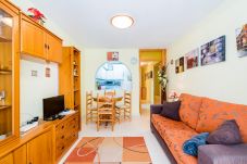 Studio in Torrevieja - ID107