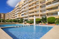 Appartement in Calpe - APOLO VII 2-1