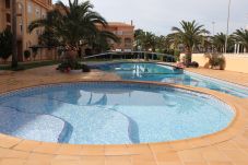 Appartement in Denia - 187 Palm Beach, 72