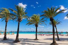 Huis in Alcudia - A. Paradise Bay 4 in Beach Alcudia (Salzes 4)