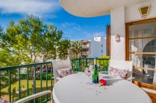 Appartement in Alcudia - Cittadini 37