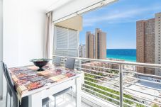 Studio in Benidorm - Los Caballos 12-C Levante Beach