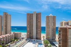 Studio in Benidorm - Los Caballos 12-C Levante Beach