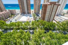 Studio in Benidorm - Los Caballos 12-C Levante Beach