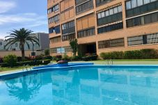 Appartement in Benidorm - R014