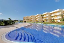 Appartement in Albufeira - ALBUFEIRA PARADISE WITH POOL by HOMING