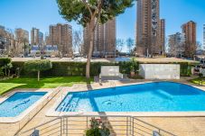 Appartement in Benidorm - Albatros 2-7 Apartment Levante Beach