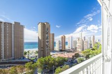 Studio in Benidorm - Albatros 14-10 Estudio Levante Beach