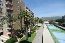 Appartement in Benicàssim / Benicasim - BALI (2/4) 301