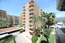 Appartement in Benicàssim / Benicasim - BALI (2/4) 301