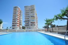 Appartement in Benicàssim / Benicasim - ESTORIL I-I-7-C