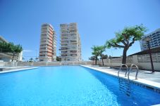 Appartement in Benicàssim / Benicasim - ESTORIL I-I-7-C