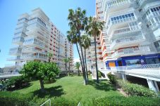 Appartement in Benicàssim / Benicasim - ESTORIL II-II-1-E