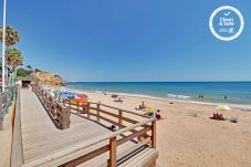 Appartement in Albufeira - ALBUFEIRA BEACH 1 by HOMING