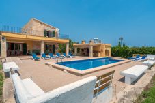 Finca in Alcudia - Villa Can Gosp