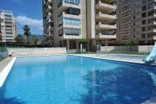 Appartement in Benicàssim / Benicasim - MADEIRA 2-7-F