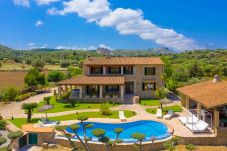 Villa in Alcudia - Villa Padilla