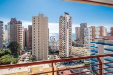 Appartement in Benidorm - Piscis 10-8 Apartment Levante Beach