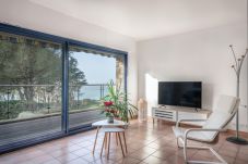 Huis in Arzon - hoomy10542