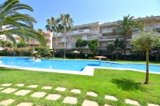 Appartement in Javea - Apartamento Nou Fontana Javea - 5006